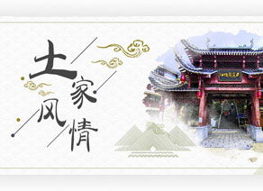 動景網 專業的動景門戶