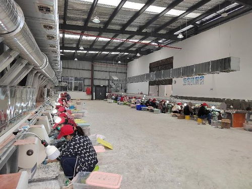 高縣文江鎮(zhèn)虹光角雕工藝品廠 在勝利村集體產(chǎn)業(yè)園開啟文化藝術(shù)品新篇章